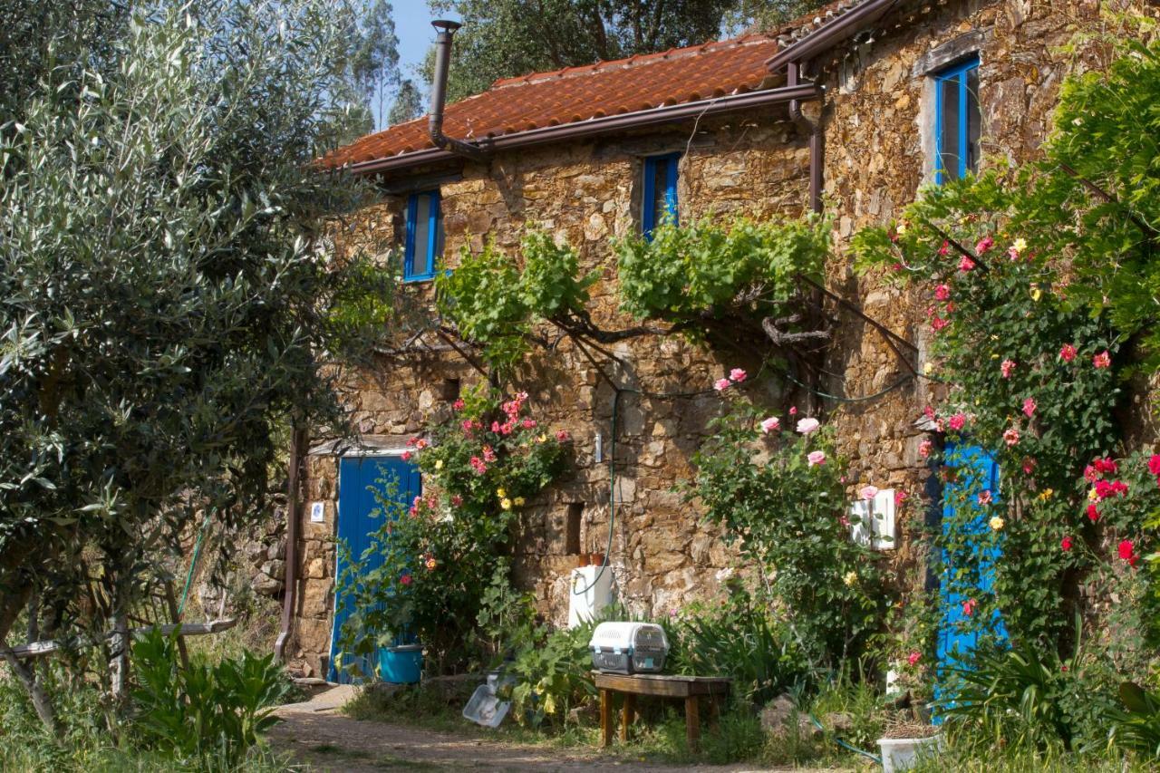 Guest Room Agro-Turismo Quinta Da Fonte Bed&Breakfast Figueiro Dos Vinhos Exteriör bild